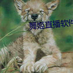 舞姬(姬)直(直)播软件