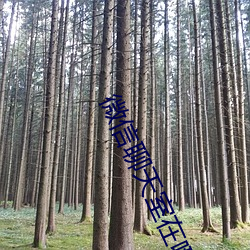 微信聊天室在哪裏