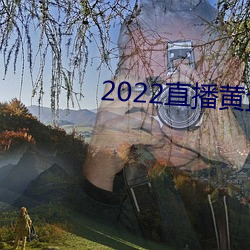 2022直播黃盒子