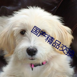 国产精品(品)交换