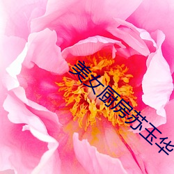 918博天堂·(中国)手机版客户端