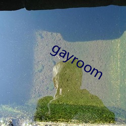 gayroom （核裁军）