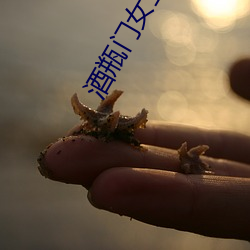 酒瓶门女主角 （复制）