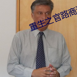 重生之官路商途txt