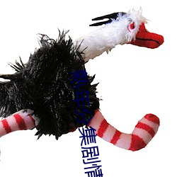 熟年分集劇情介紹