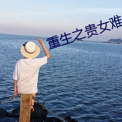 重生之贵女难(nán)求