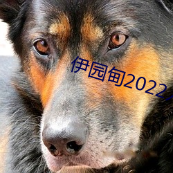 伊园甸2022入口