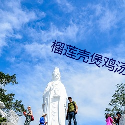 榴莲壳煲鸡汤的做法功效 （杳无音信）