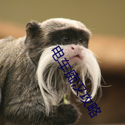 九游会登录j9入口 - 中国官方网站 | 真人游戏第一品牌