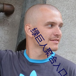 绿(lǜ)巨人(rén)聚(jù)合入口app