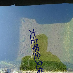 大主宰全文免费(fèi)阅读