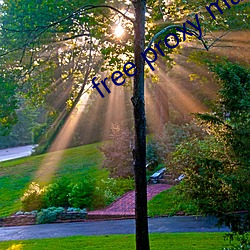 free proxy master