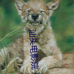 汕头电影(影)院