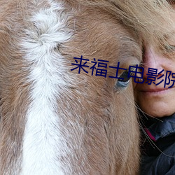 来福士电(電)影(影)院