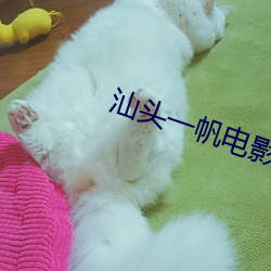 汕头一帆电影院