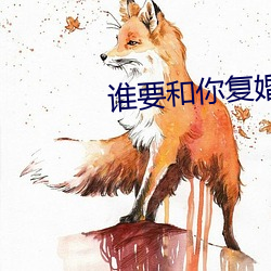誰要和你複婚