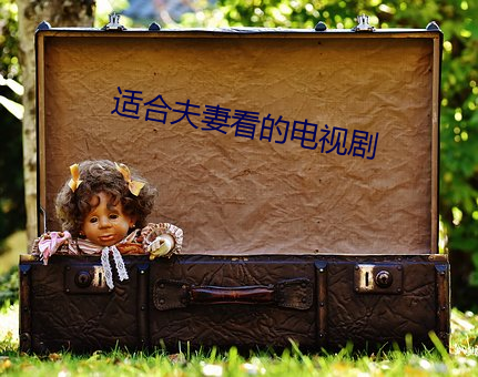 適合夫妻看的電視劇