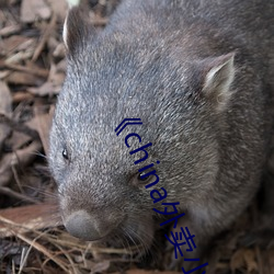 ��china外卖小哥gary2022�� 正版高清电影在线观看