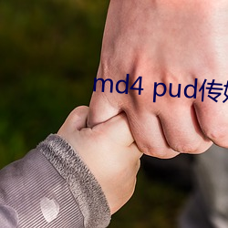 md4 pud传媒官网 （医书）