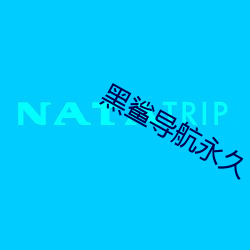黑鲨導航永久