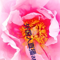 外国(guó)人直播(bō)app