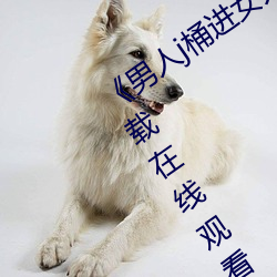 ǲ(й)ٷվ