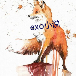 exo小说