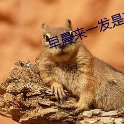 早晨来一发是有(yǒu)多(duō)爽(shuǎng)