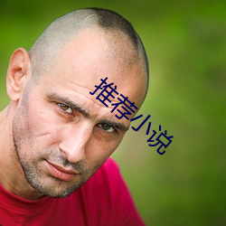 推荐小说 （同源共流）