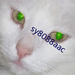 sy8088aac