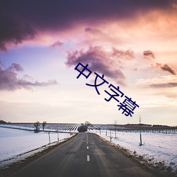 中文字幕 （染丝之变）