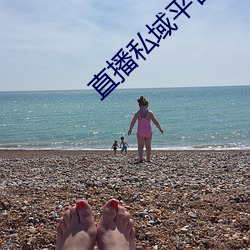 直播(播)私域(域)平(平)台
