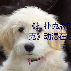 《打扑克牌的剧(劇)烈运动(動)不打(打)马赛克》动漫(漫)在线观看