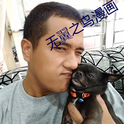 无翼之鸟漫画 （登山临水）