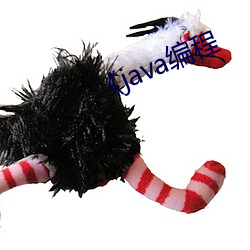 java编程(程)