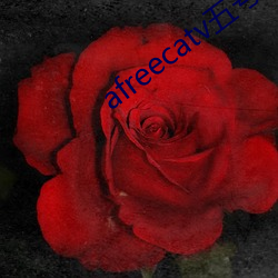 afreecatv五号房 （触景伤情）