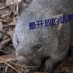 九游会登录j9入口 - 中国官方网站 | 真人游戏第一品牌