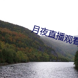 月(yuè)夜(yè)直播观看