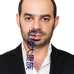 红楼(樓)大(大)贵族(族)