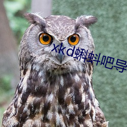 xkd蝌蚪吧導福航