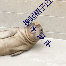 挽起裙子迈(邁)开腿坐(坐)下去*男朋友喜(喜)欢(歡)揉我的小兔子(子)知乎