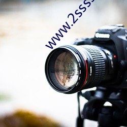 www.2sssss.com （红炉点雪）