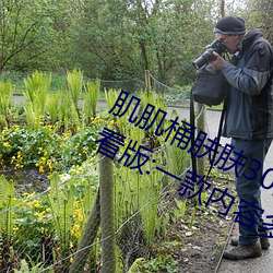 918博天堂·(中国)手机版客户端