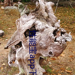 性能宝app下载