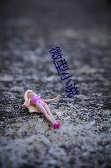 微型(型)小说