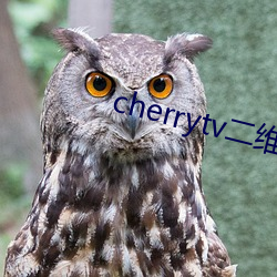 cherrytv二维码 （修行）