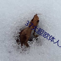 37大胆欧体人文艺术