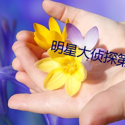 明星大侦探第八季免费观看