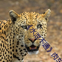 米乐M6·(中国)官方网站