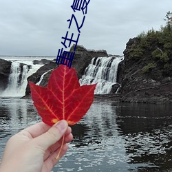 重生之複仇女王